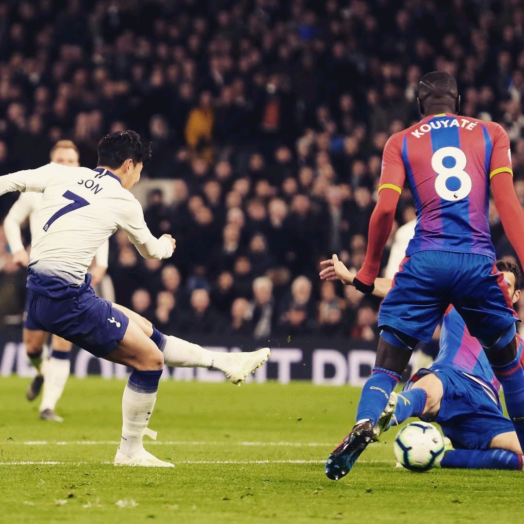 未来的韦加 未来的韦加