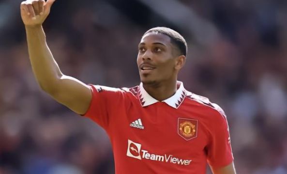 能够提供大 能够提供大